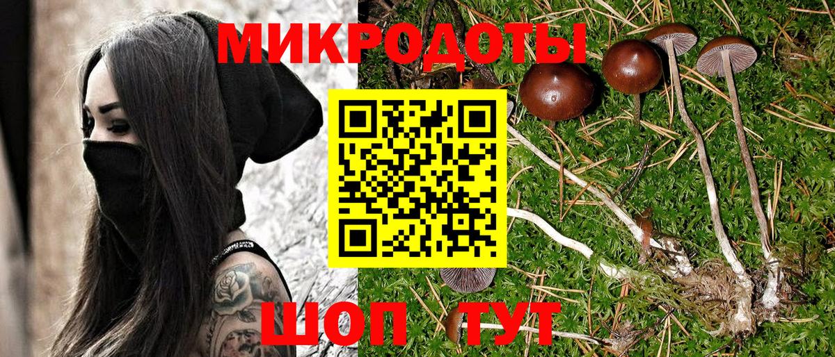 Галлюциногенные грибы прущие грибы Ефремов