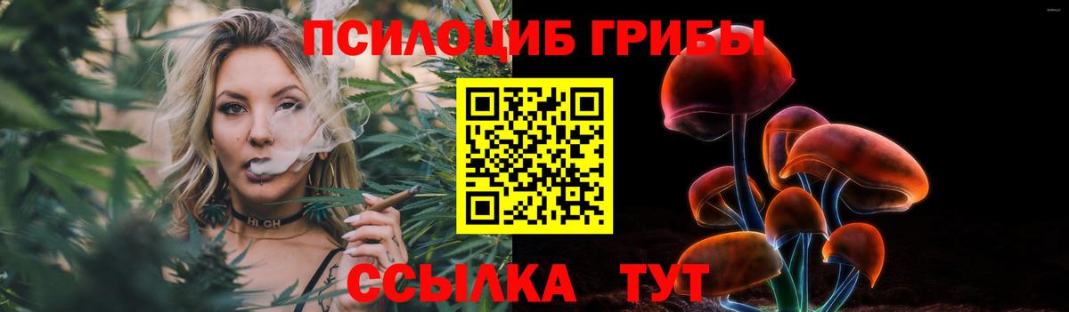 Псилоцибиновые грибы Cubensis  Псилоцибиновые грибы Magic Shrooms  Вход с VPN  Ефремов 